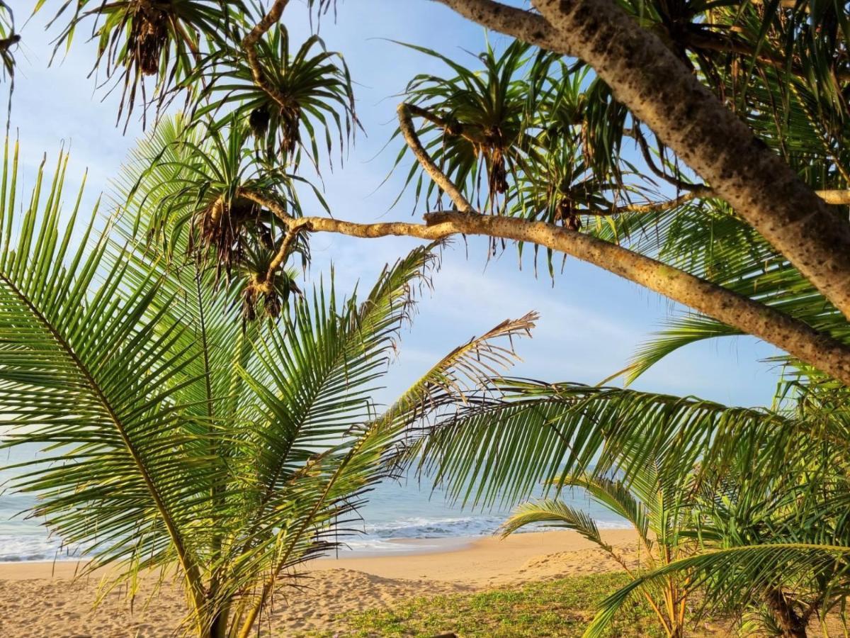 Golden Beach Paradise Tangalle Buitenkant foto