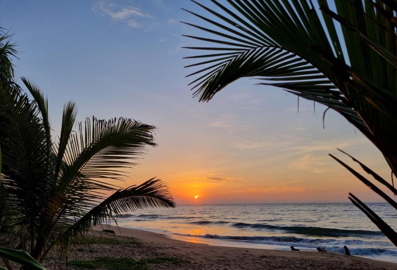 Golden Beach Paradise Tangalle Buitenkant foto